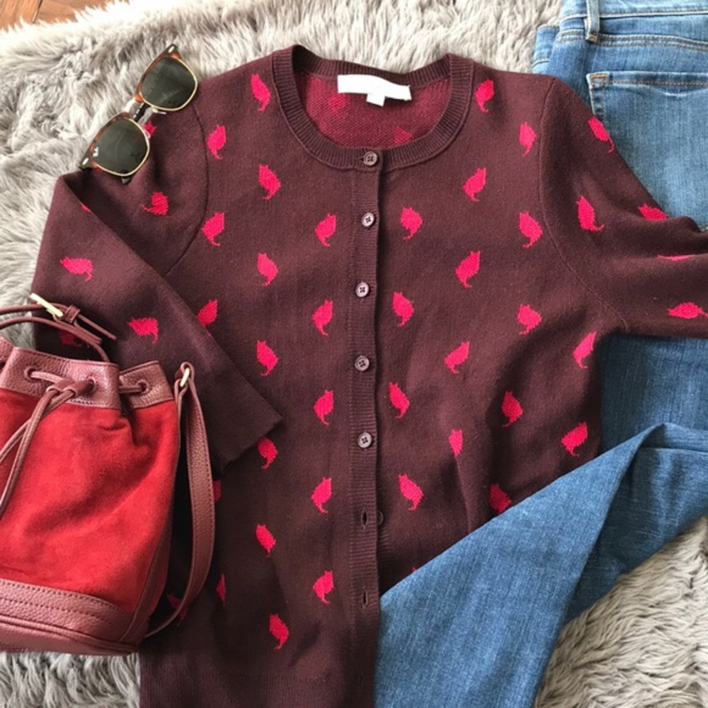 Loft Kitten Sweater